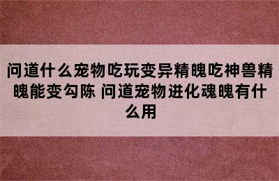 问道什么宠物吃玩变异精魄吃神兽精魄能变勾陈 问道宠物进化魂魄有什么用